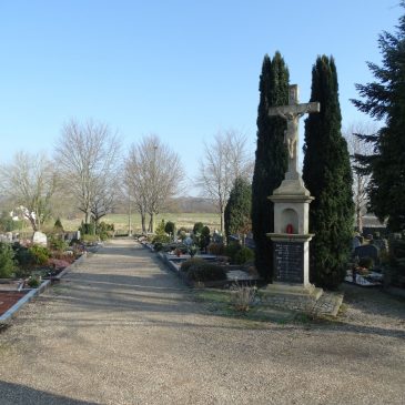 Friedhof Warth